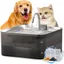 FUKUMARU Fuente para Perros y Gatos de 7L con filtracion de 5 Capas, Acero Inoxidable